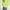 Crewneck Sweater Neon Green photo 1