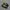 Adidas Liverpol