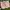 H&M Vintage Short Kids Pink