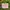 H&M Vintage Short Kids Pink