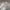 Asics Y2K Sportswear Sneakers Wanita white photo 5