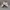 Asics Y2K Sportswear Sneakers Wanita white photo 1