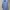 Zara Man Slim Fit Light Blue Dress Shirt / Kemeja Formal Bir photo 1