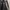 Towngent Casual Parka Pria multicolor photo 6