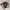 cath kidston brown vintage mini ransel bag photo 2