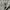 carhartt celpo size 40 relaxed fit photo 6