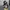 Converse Streetwear Casual Sneakers Wanita multicolor photo 2