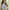Y2K Coquette Blouse Wanita blue photo 2