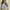 Y2K Coquette Blouse Wanita Blue