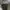 DICKIES texas vintage high-top / 41 photo 8