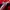 Adidas Casual Sweater Pria white red photo 6