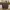 Michael Kors Signature Jet Set Travel Zip Tote Brown Prelove photo 2