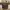 Michael Kors Signature Jet Set Travel Zip Tote Brown Prelove