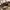 Michael Kors Signature Jet Set Travel Zip Tote Brown Prelove photo 6