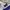 Ellesse Sportswear Casual Windbreaker Pria purple white photo 6