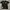 T-shirt Yankees 1:1 