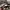 Rubi by cotton on sunglasses  photo 4