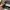 Rubi by cotton on sunglasses  photo 2