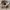 Jacket M65 Japanese Drammaker Military Eagle photo 4