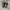 Nike V2K Run Black Anthracite 