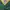 RZOACTIVE American Football Jersey Green Yellow No. 60 Origi photo 4