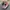 Vans halfcab 1992 skate pink photo 1