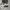 Nike AirMax 95 black spruce  photo 5