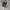Nike AirMax 95 black spruce  photo 1