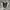 Nike AirMax 95 black spruce  photo 2