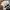 Nike shox nz white black vintage photo 9