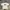 Uniqlo ut x billie Ellish white photo 1