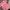Dickies pink shirt  photo 2