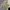 A bathing ape (bape) Shark olive drab photo 3