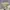 A bathing ape (bape) Shark olive drab photo 8