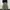 bggy pants c dark green photo 2