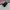 Adidas London 96 Core Black Better Scarlet photo 3