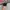 Vans Authentic OG Skate Pro Black photo 4