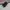 Salomon XT-6 S/LAB Black Phantom photo 3