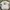 Thanksinsomnia Boxy Tee photo 2