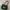Hermes Luxury Casual Handbag Wanita green photo 1