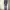 Buckaroo skinny lowrise jeans stitch 3d photo 10