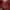 Yves Saint Laurent YSL Casual Tas dompet Wanita red photo 5