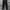 Dickies Genuine Original Fit Workpants 