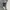 JanSport Vintage Sportswear Sweater Pria Gray