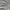 JanSport Vintage Sportswear Sweater Pria gray photo 5