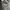 The North Face Streetwear Sportswear Fleece Pria black photo 4