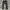 Volcom Chino photo 4