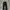 Dickies 874 Pants