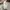 Original Beyond the Vines Slingbag  photo 8