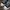 Converse Casual Sneakers Pria black photo 2